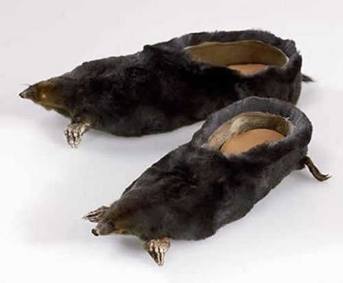 Обувь из мертвых животных от Ирис Шеферштейн