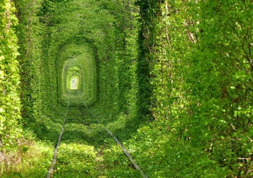 Самые необычные тоннели мира