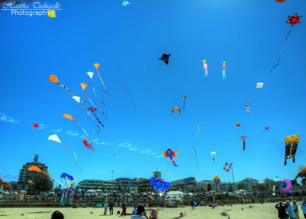 Поразительные воздушные змеи Фестиваля Ветров, прошедшего на Бонди Бич (Bondi Beach)