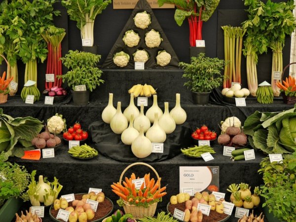 12 художественно оформленных стендов с овощами