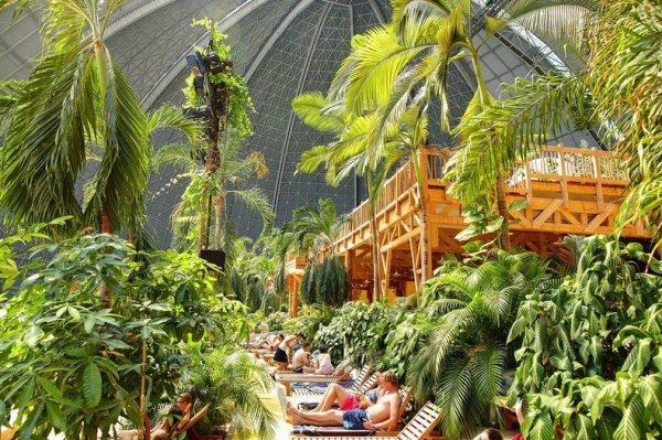 Тропический остров-курорт – самый большой в мире  крытый тропический лес