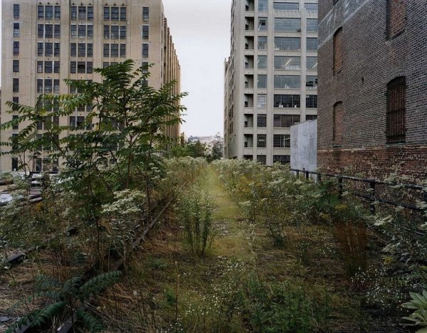 Хай-Лайн - заброшенная ветка надземной железной дороги превратилась в парк над землёй в Нью-Йорке