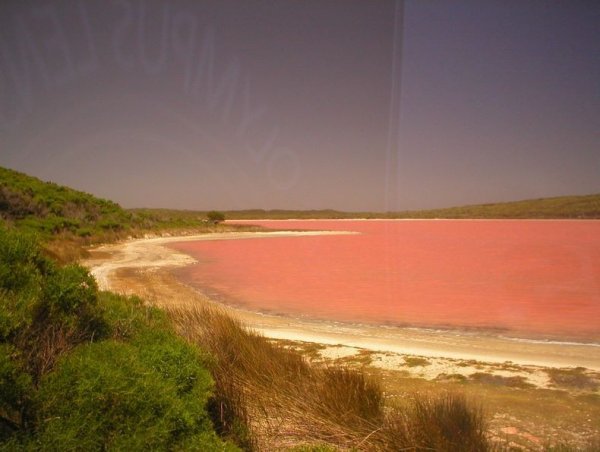 Розовое озеро Хильер в Австралии