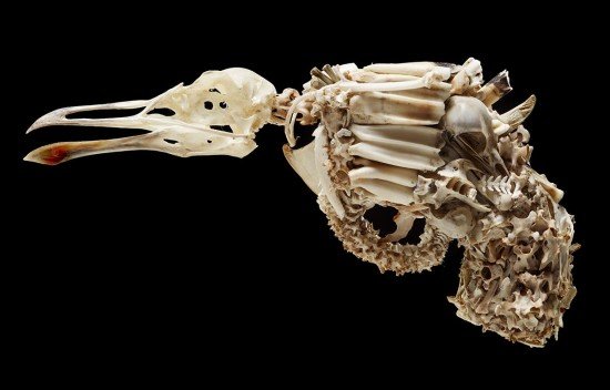 Художник создаёт жуткие модели огнестрельного оружия из костей животных