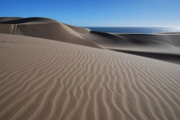 На границе пустыни Намиб и моря