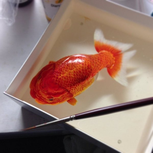 Гиперреалистичные 3D картины морских животных Кена Ли