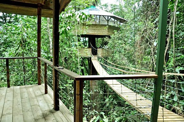 Дома на деревьях в джунглях Коста-Рики (14 фото + 1 видео)