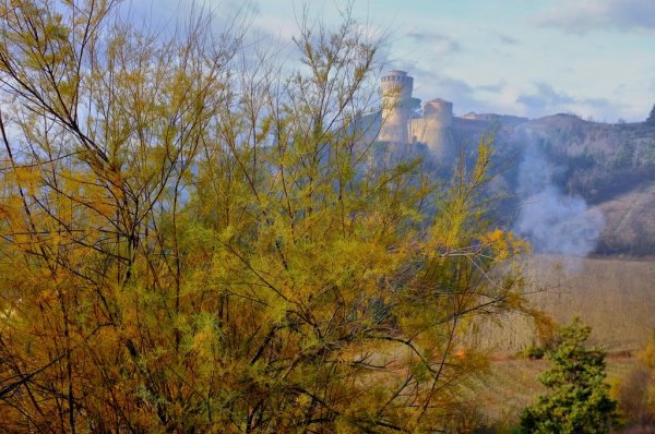 Жемчужина Равенны – замок Бризигелла (10 фото)