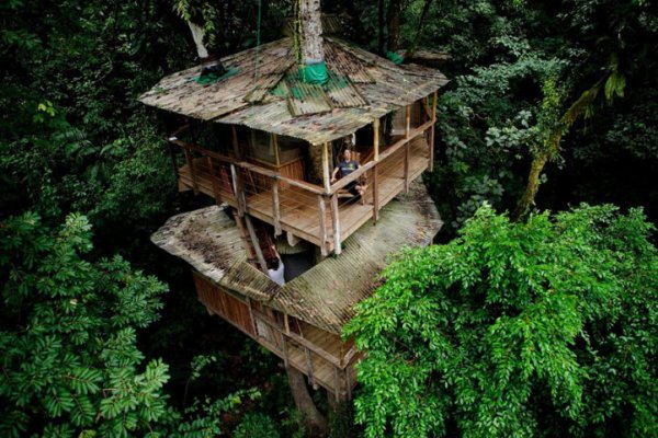 Дома на деревьях в джунглях Коста-Рики (14 фото + 1 видео)