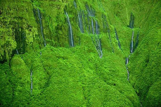 Утопающий в зелени водопад Хонокохау (7 фото)
