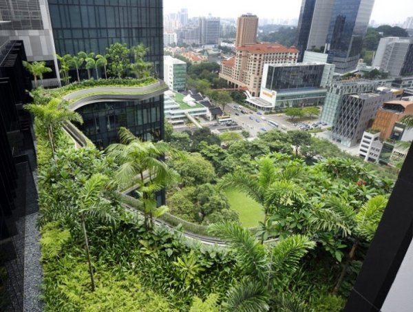 Отель-сад Park Royal – зелёный оазис Сингапура (9 фото)