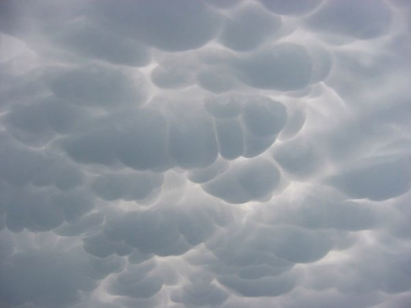 Необычные виды облачных образований (15 фото)
