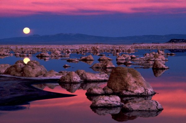Изумительный природный ландшафт озера Моно (13 фото)