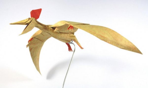 Выразительное оригами Нгуен Хунг Куонга (16 фото)