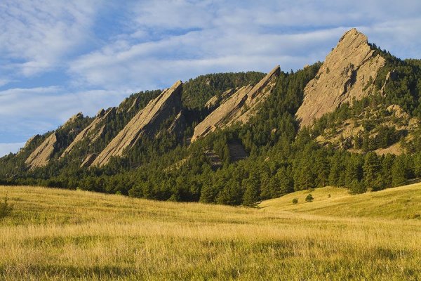 Пять горных утюгов на склоне горы Зелёная (10 фото)