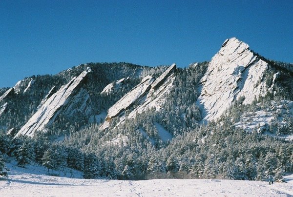 Пять горных утюгов на склоне горы Зелёная (10 фото)