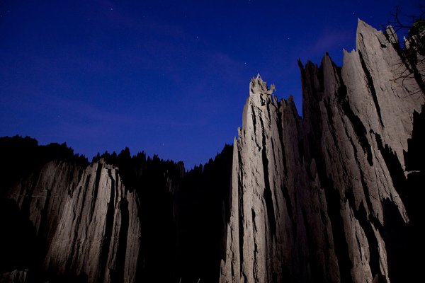 Каменные леса Мадагаскара (21 фото)