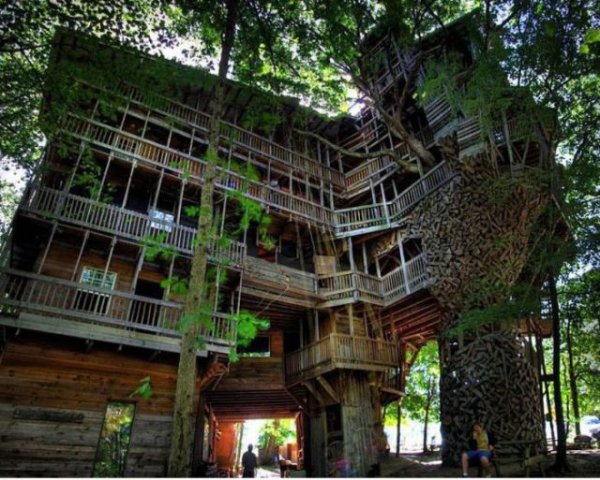 Самые необычные дома, построенные на деревьях (17 фото)