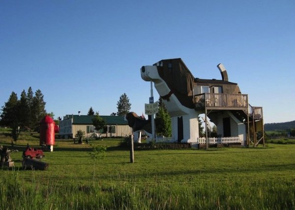 Необычный отель в виде собаки (9 фото)
