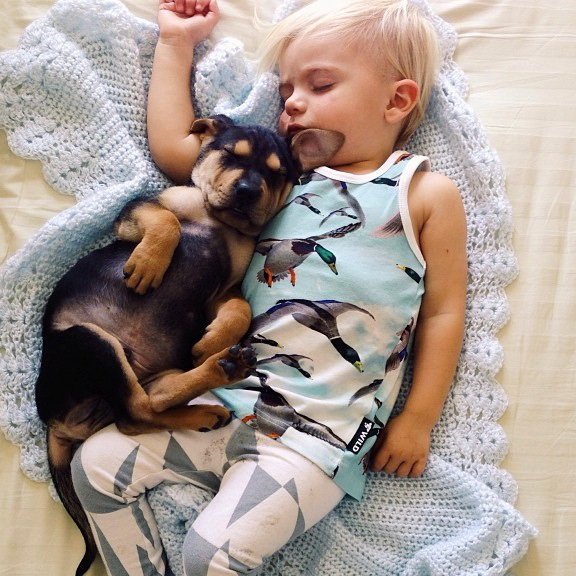 Очаровательные сони мальчик Бо и щенок Тео (15 фото)