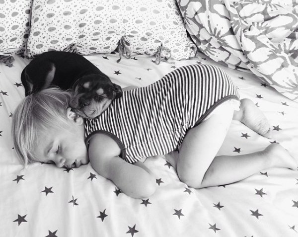 Очаровательные сони мальчик Бо и щенок Тео (15 фото)
