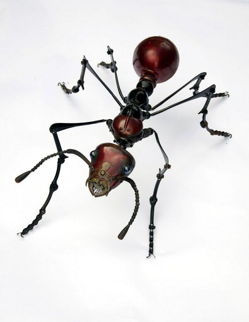 Восхитительные скульптуры насекомых, созданные талантливым Эдуардо Мартине (12 фото)