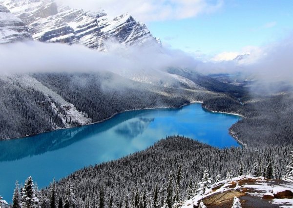Озеро Пейто с бирюзовой водой – самое знаменитое в Канаде (9 фото)
