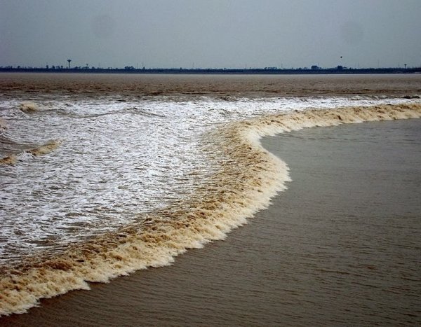 Приливная волна: когда реки текут против течения (14 фото)