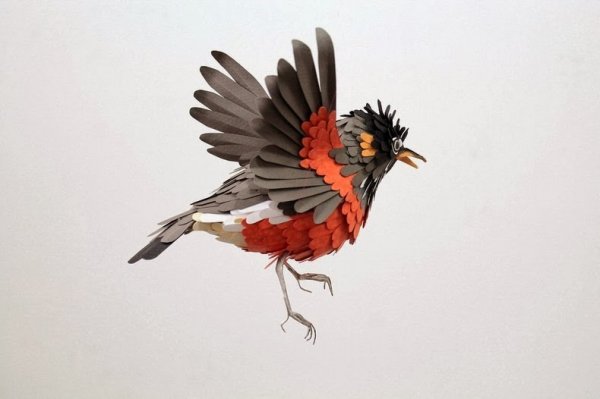 Бумажные птицы Дианы Белтран Херрера (24 фото)