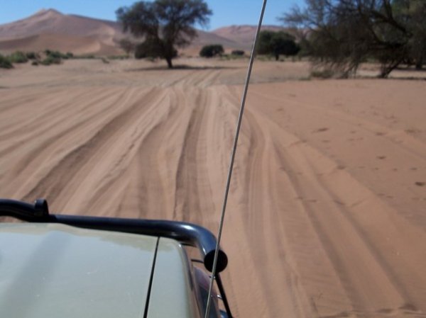Берег Скелетов в Намибии (29 фото)