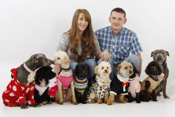 Любительница собак из Британии потратила 49 758 долларов на девять своих домашних любимцев (11 фото)