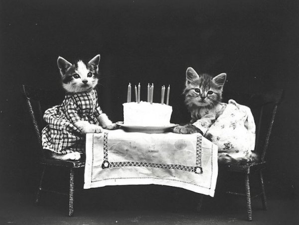 Очаровательные щенки и котята в ретро-снимках Гарри Уиттера Фриса (12 фото)