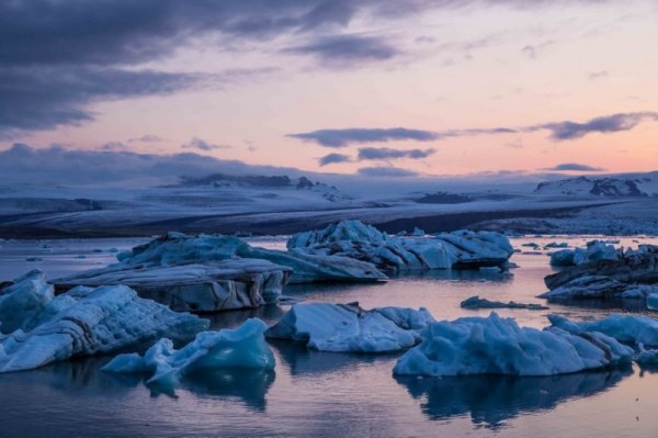 Живописная ледниковая лагуна Ёкюльсаурлоун (8 фото)