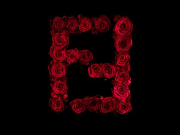 Логотипы известных брендов, выложенные из красных роз (8 фото)