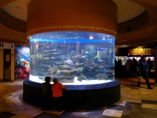 Топ-10: Самые  крупные и поразительные аквариумы в мире