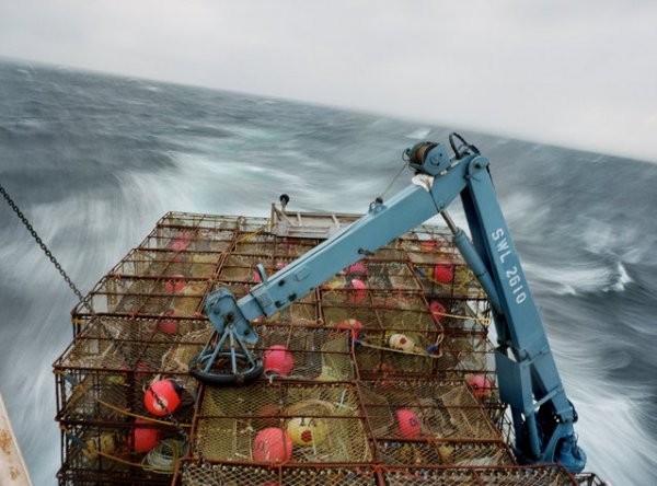 Повседневная жизнь рыбаков в Беринговом море Аляски (15 фото)