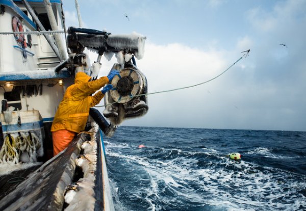 Повседневная жизнь рыбаков в Беринговом море Аляски (15 фото)