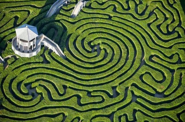 Зелёный лабиринт Longleat Hedge Maze в Англии (8 фото)