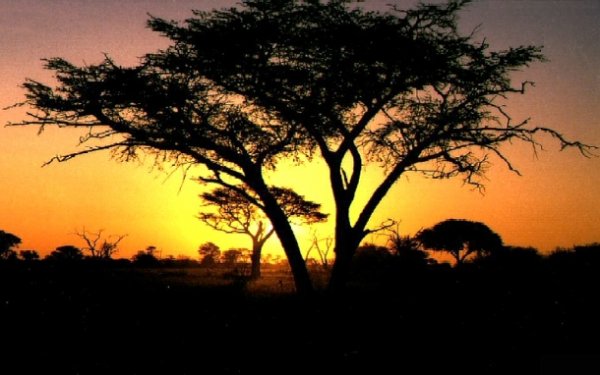 Топ-25 потрясающих африканских национальных парков, которые стоит посетить