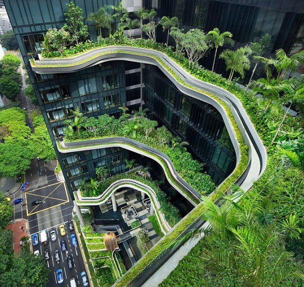 Зелёный отель ParkRoyal в Сингапуре (26 фото)
