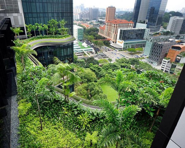 Зелёный отель ParkRoyal в Сингапуре (26 фото)