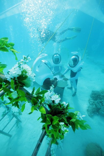 Подводная свадьба на Бора-Бора (7 фото)