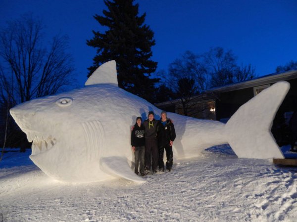 Каждый год трое братьев создают огромные снежные скульптуры у себя во дворе (8 фото)