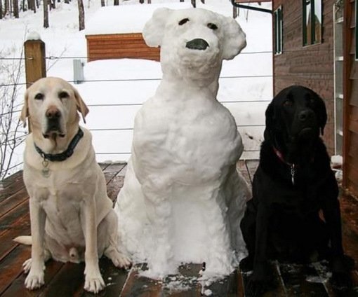 Топ-10: Удивительные копии собак из снега