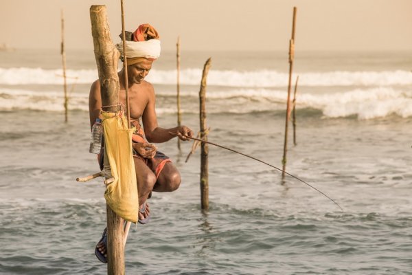 Традиционная рыбалка на Шри-Ланке (18 фото)