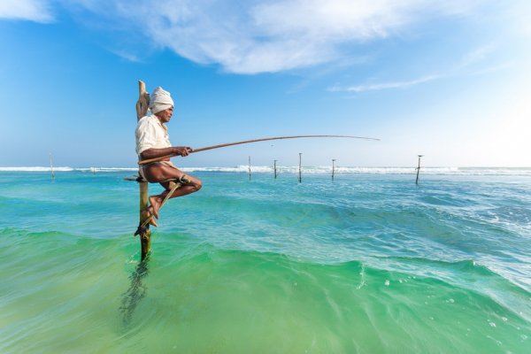 Традиционная рыбалка на Шри-Ланке (18 фото)