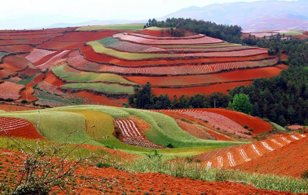 Разноцветные холмы Дончуаня (25 фото)