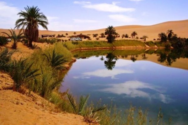 Живописный оазис Убари посреди пустыни Сахара (10 фото)