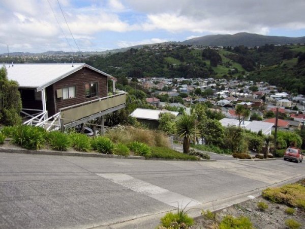 Самая крутая улица в мире находится в Новой Зеландии (9 фото)