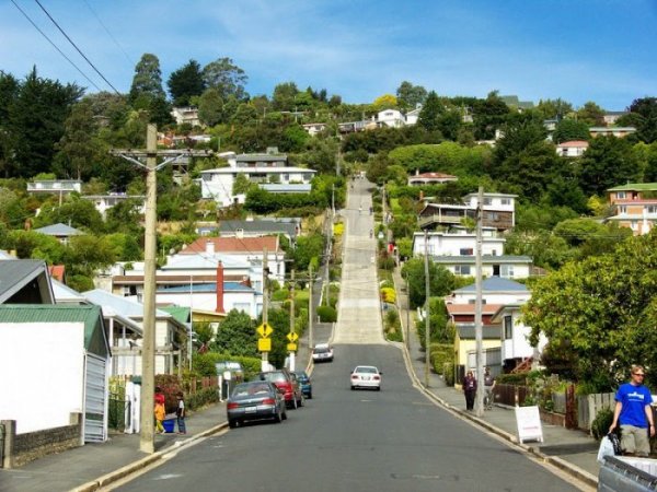 Самая крутая улица в мире находится в Новой Зеландии (9 фото)